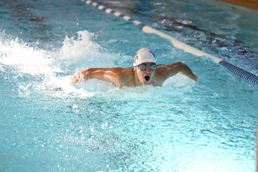 Junior Owen Strunk swims butterfly during the Boone County Championship meet at Scott High School on Dec. 21.