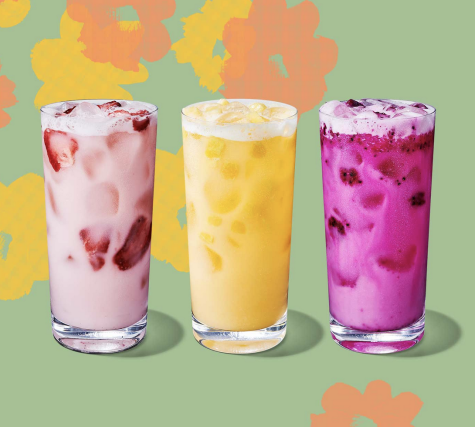 This image features the Pink Drink on the far left, the Paradise Drink in the middle, and the Dragon Drink on the far right.
